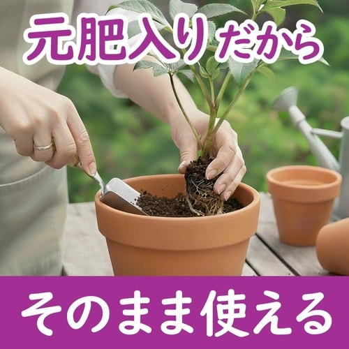 クリスマスローズの土 5L