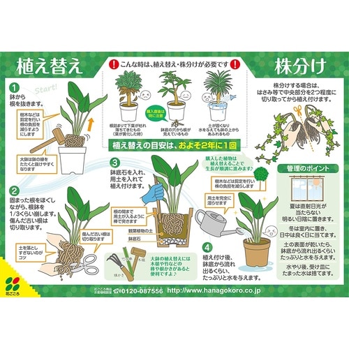 観葉植物の土 2L