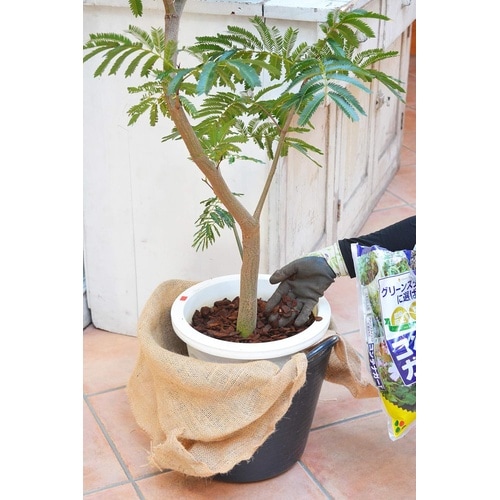 コンテナガードM 3L