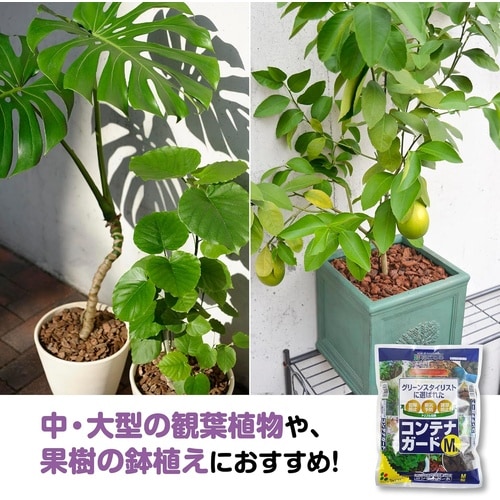 コンテナガードM 3L