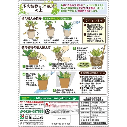 多肉植物&ミニ観葉の土 1L