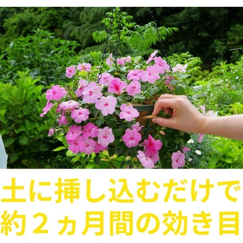 スティック 35G