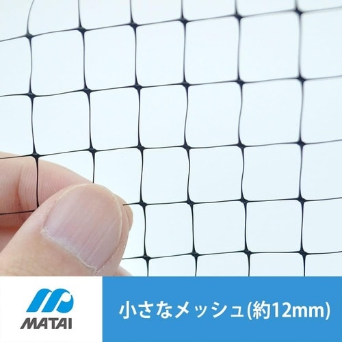 ブルーベリー用鳥よけネット 1.8x3m