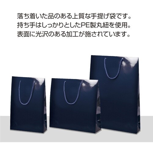 手提げ袋ブライト225×80×320シコン×10