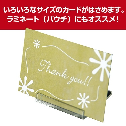 フリーサイズカードスタンド 大 10個