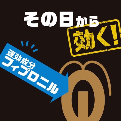 ブラックキャップ フィットタイプ 32個入