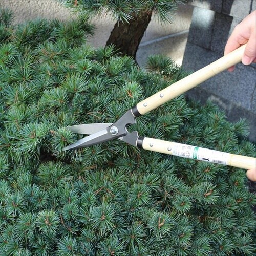 GREENPICKER 鋭刈込150白尺1寸柄