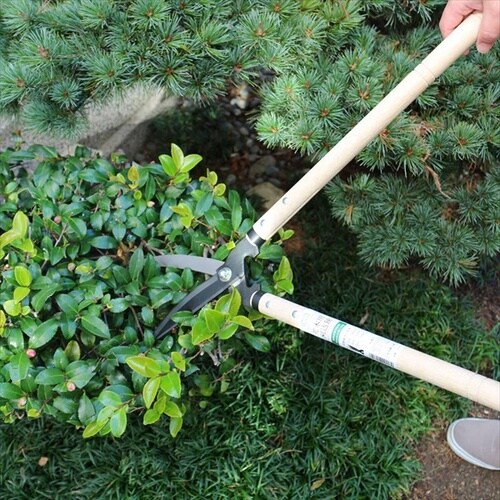 GREEN PICKER 荒木用刈込鋏170mm