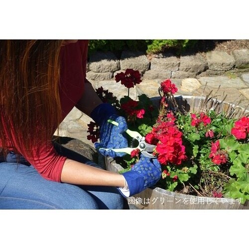 オイラーボルト剪定鋏190 赤