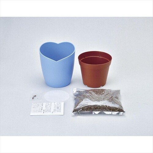 空色の花 ネモフィラ栽培セット