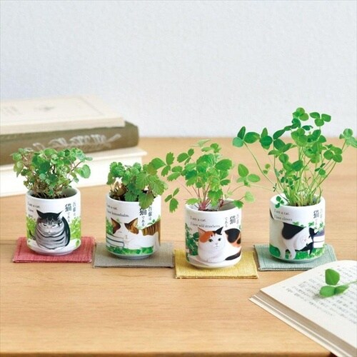 おちょこ吾輩猫 クローバー