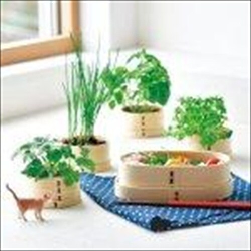 猫富士わっぱ GD−105001