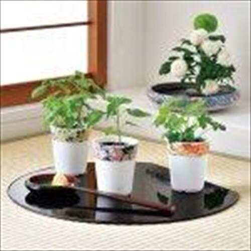 和心薬味 GD−104903
