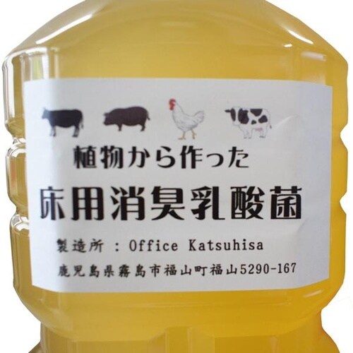 消臭菌KATSU(床用乳酸菌) C20A−0078
