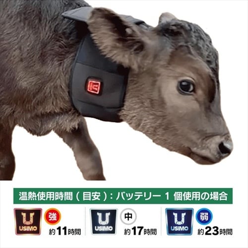 仔牛用ネックウォーマー ぬっくモーるバッテリー