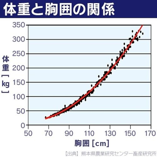 体重推定尺黒毛和種仔牛用