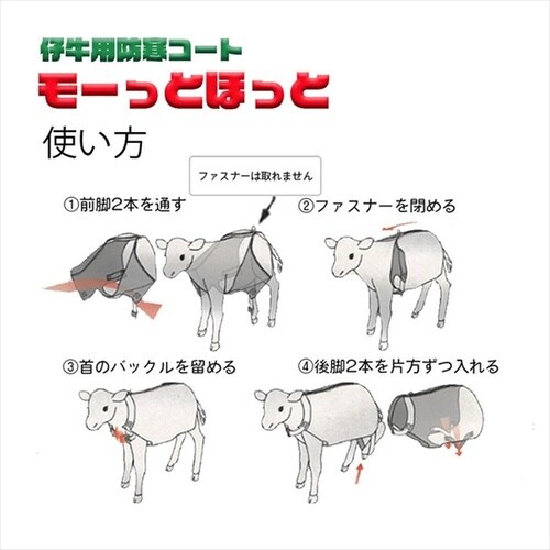 モーっとほっと冬用Sサイズ グリーン