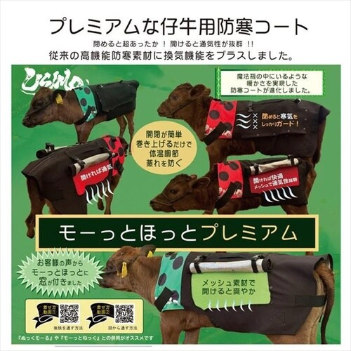 モーっとほっと冬用プレミアム Mサイズ ピンク