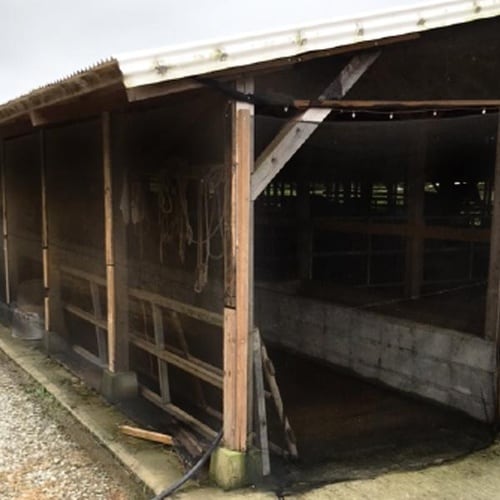 サシバエネット【2m×50m】