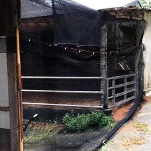 サシバエネット【2m×50m】