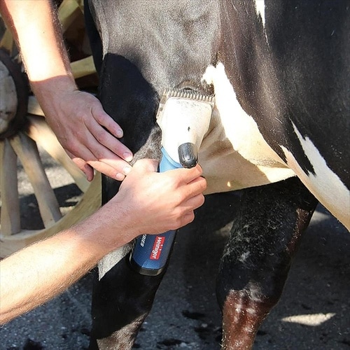 大型バリカン ハイニガー エクスプローラ