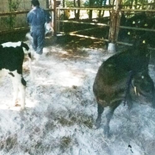 床カラッと1220kg 3袋入