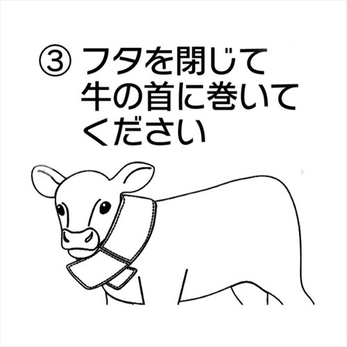 モーっとクール出荷牛用HYハワイ柄