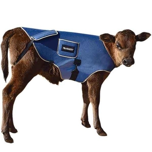 TBジャケットネイビー C20A−0777