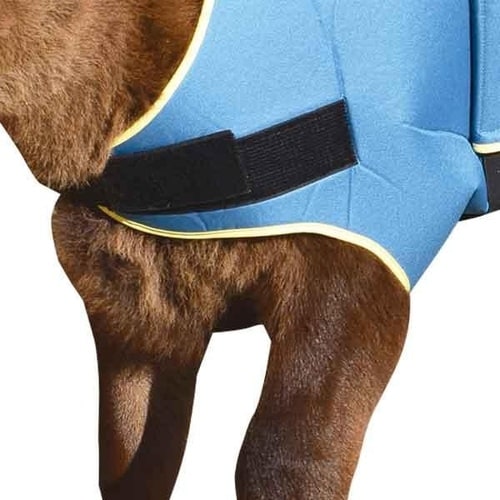 TBジャケットネイビー C20A−0777