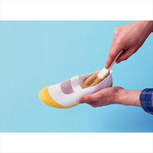 #13025 パームくつ洗い 箱入