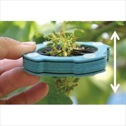 サボテン 花冠取り器 2入80mm