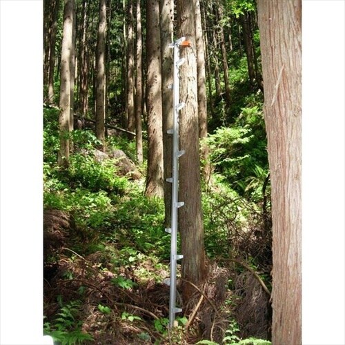 アルミ製ハシゴ モンキーラダー 6m