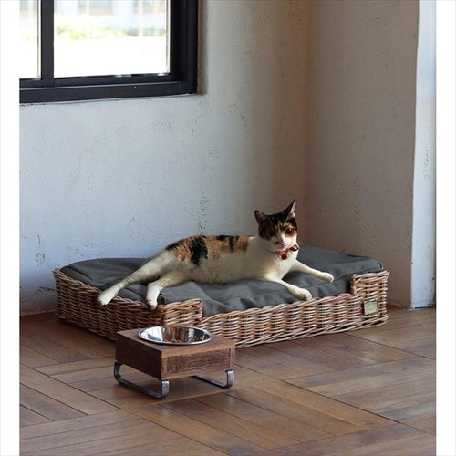 ねこベッドバイジアラログ