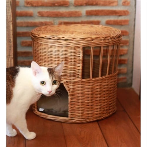 ねこハウスふた付バイジアラログ