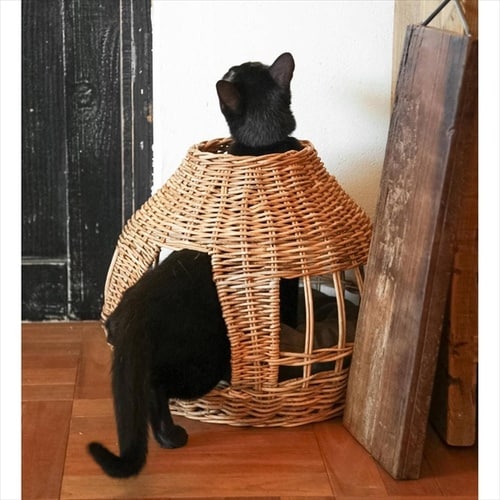 ねこハウス オニオンバイジアラログ