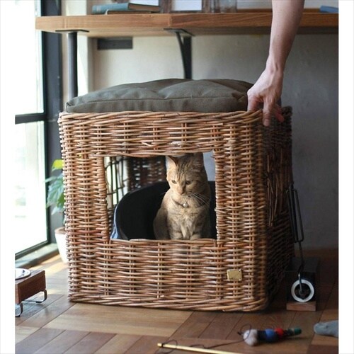 トイレカバーバイジアラログ