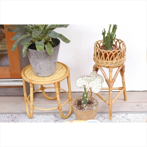 ユグラ フラワースタンドS