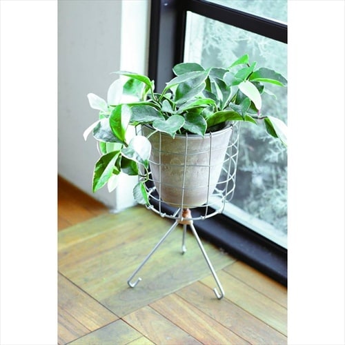 デュソール スタンドポットカバーM