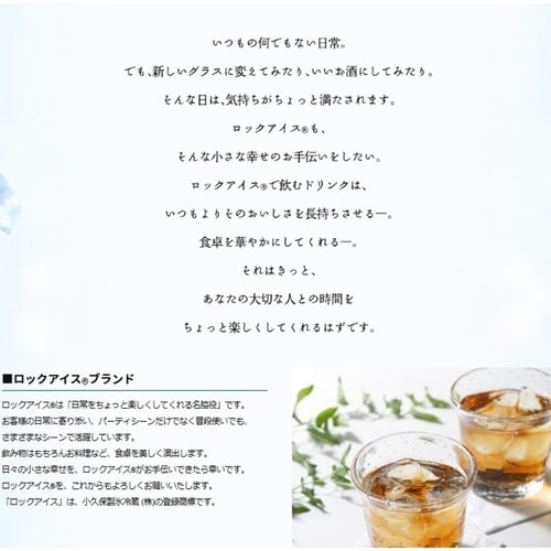 【冷凍】小久保製氷冷蔵 板氷 1.7kg×1個