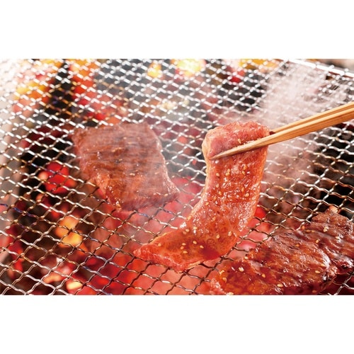 モランボン 韓(HAN)焼肉のたれ 炭火風味 5