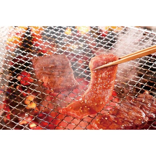 モランボン 韓(HAN)焼肉のたれ にんにく風味