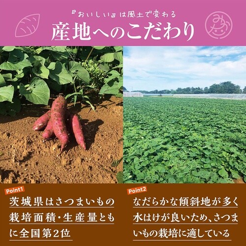 【冷凍】ニチノウ 茨城県産焼きいも 200g×5袋