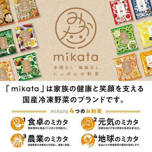 【冷凍】ニチノウ 国産ブルーベリー 100g×4袋