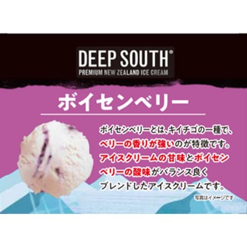 【冷凍】DEEPSOUTHボイセンベリー ×3個