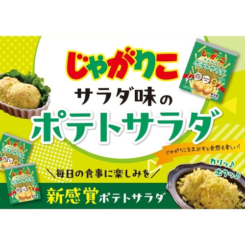 【冷蔵】じゃがりこサラダ味のポテトサラダ×16