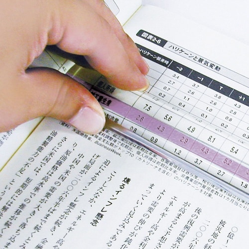 カラーバールーペ15cmラベンダ×3