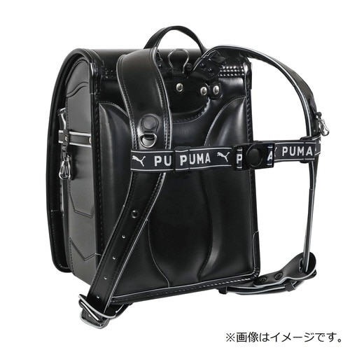 チェストベルト×3