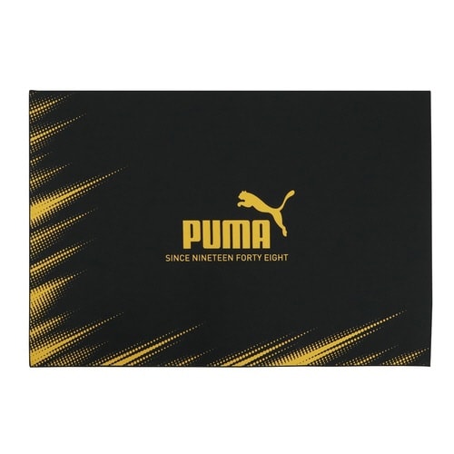 ランチクロス(Lサイズ)×5