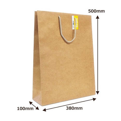 紙袋クラフトL×100
