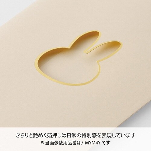 窓ぽち袋 カラーミッフィー字なし×10